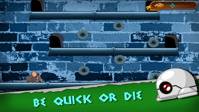 Rat Escape - Help dodge traps and grab the cheese