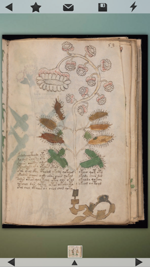 Voynich Manuscript!(圖3)-速報App