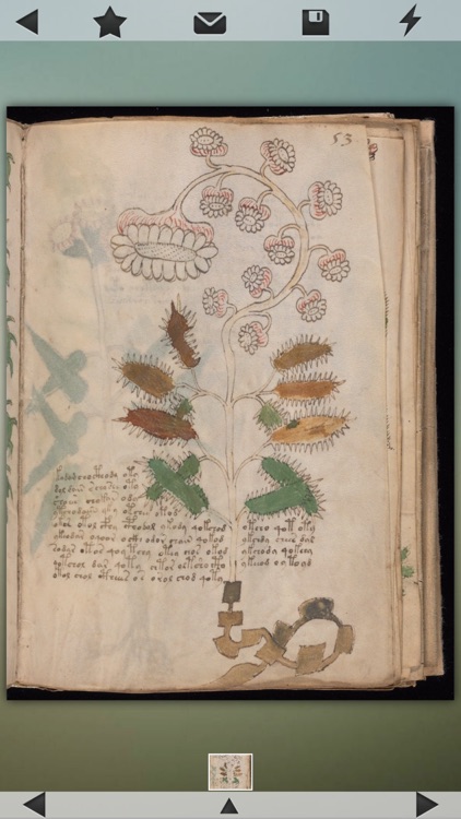 Voynich Manuscript!