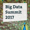 Big Data Summit 2017