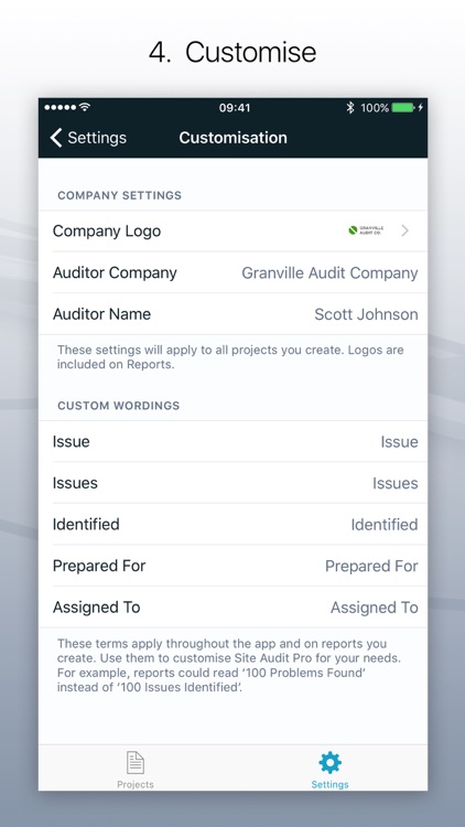 Site Audit Pro screenshot-3