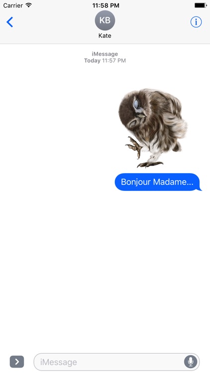 Owl - Daily Moods