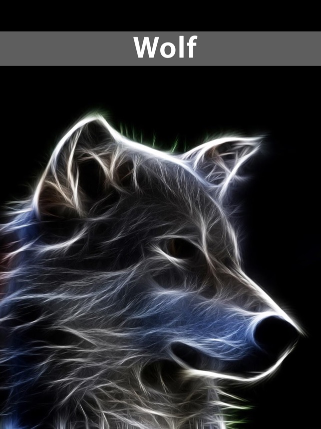 Amazing Wolf Wallpapers on the App Store