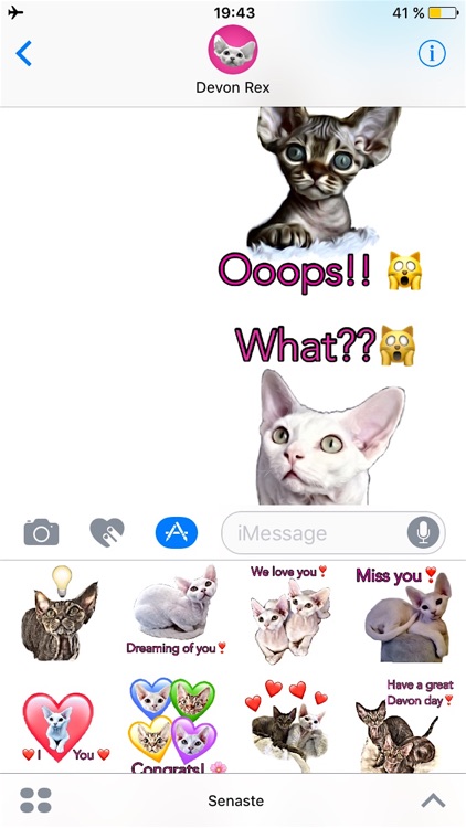 Devon Rex screenshot-4