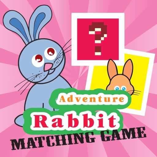 Bunnies Looney Matching Match Games For Kids Icon