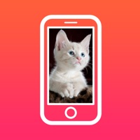 Cute Animal Wallpapers - Live pour PC