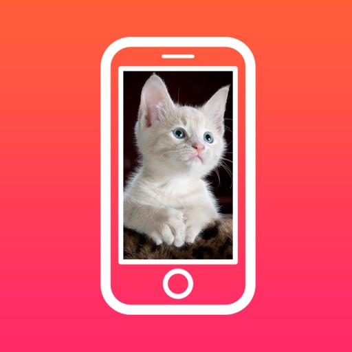 Cute Animal HD Wallpapers - Puppies,Kittens & more iOS App