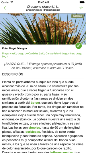 Arbolapp Canarias(圖3)-速報App