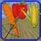 Target Of Vegetables Archery Game