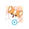 Corgi dog And Snowshoe cat - Animated GIF Stickers
