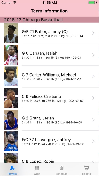Chicago Basketball Team Information