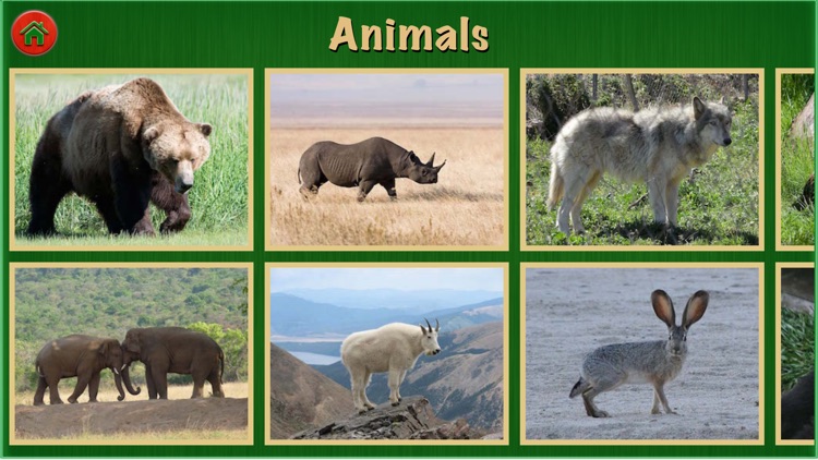 Animal Sounds Pro For Kids and Toddlers Education screenshot-4