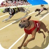 Dog Racing Championship : Puppy Runner Simulator