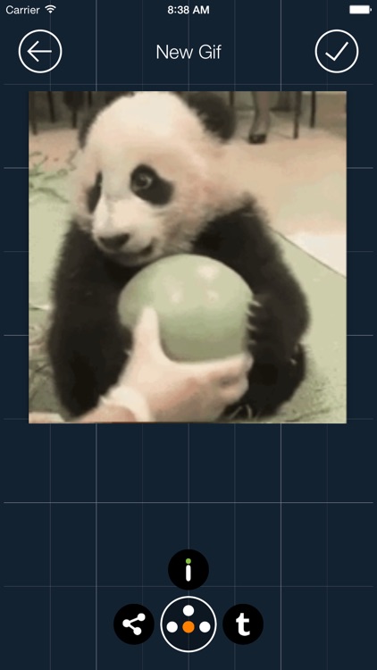 GifVid - GIF to Video Converter screenshot-3