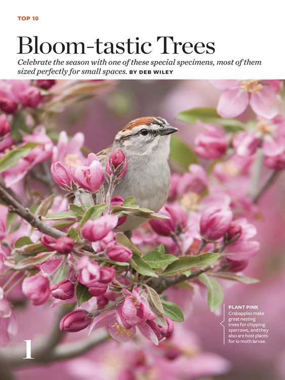 Birds & Blooms