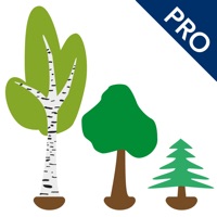 PreNumbers PRO pour PC
