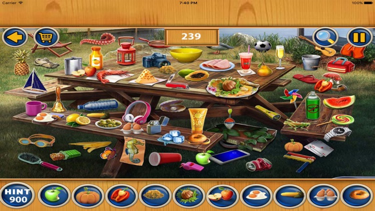 Free Hidden Objects : Leap Day screenshot-3