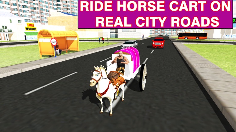 Wedding Horse Carriage & City Bridal Driving screenshot-3