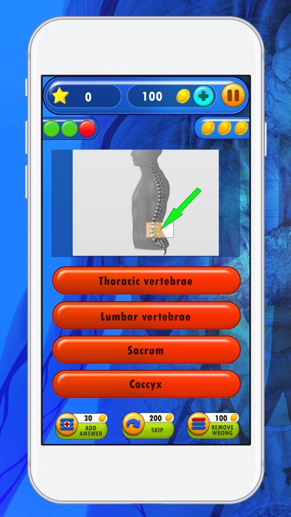 Anatomy And Physiology Quiz On Human Body Organs screenshot-3