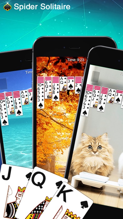 ⋆SPIDER SOLITAIRE⋆ 1.1.5 IOS CASINO ⋆SPIDER SOLITAIRE⋆ 1.1.5 IOS