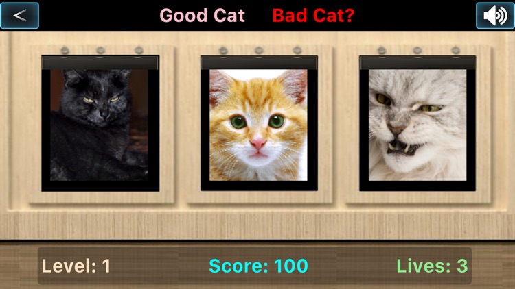 Good Cat Bad Cat