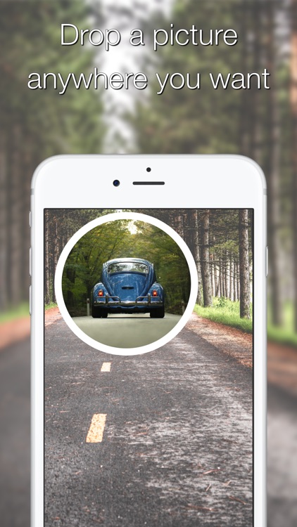 Whale Cat screenshot-3