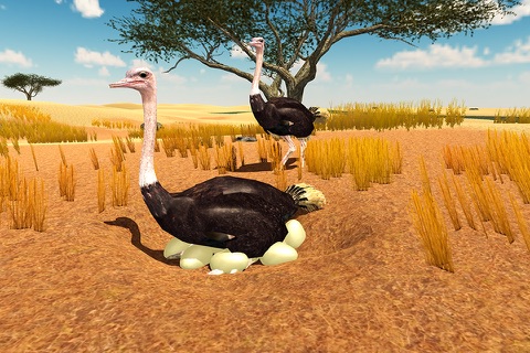 Furious  Ostrich Simulator screenshot 3