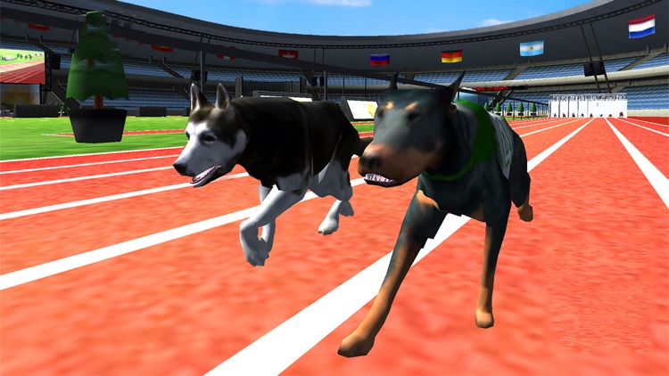 Super Dog Racing Champions