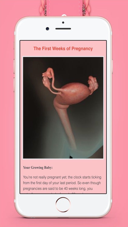 Pregnancy Tips - Baby Tracker screenshot-4