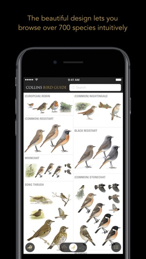 Collins British Bird Guide