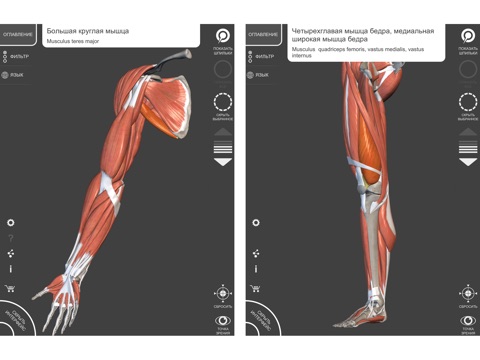 Anatomy 3D Atlas screenshot 4