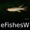 Fishes & Sharks of the World - A Fishes App