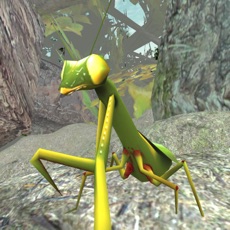 Activities of Praying Mantis Simulator 3D