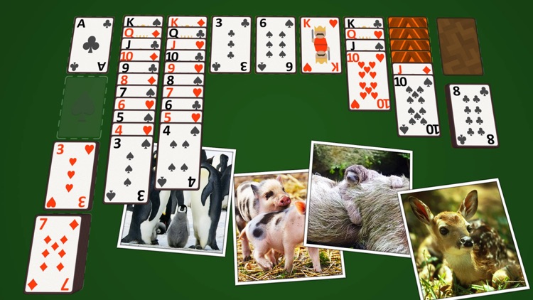 Solitaire Baby Animals screenshot-4