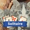 Solitaire or patience card game to play on your phone or tablet