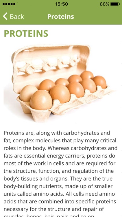 Food Nutrition Table screenshot-3