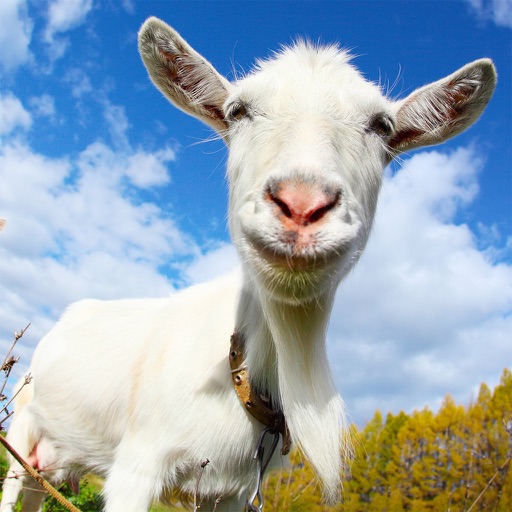 Crazy Goat FREE iOS App