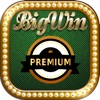 Slots Double Win - Casino Gambling House