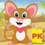 The Pre K Gonzales Mouse Brain Preschool Math