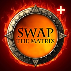 Activities of SWAP The Matrix Plus
