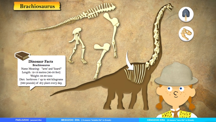Dinosaur Fossils - History for kids screenshot-4