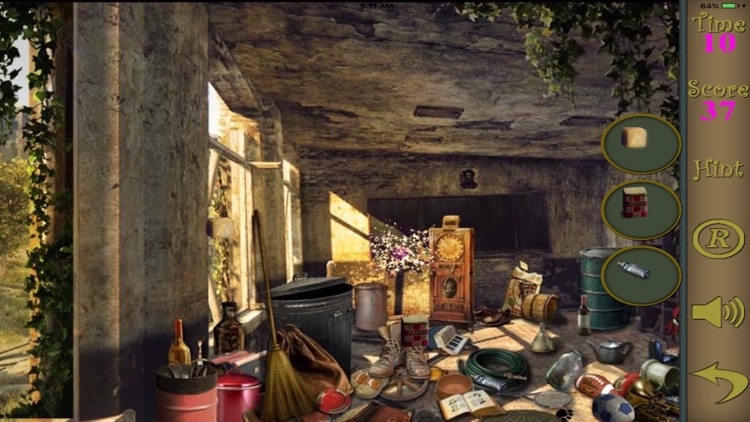 Hidden Objects Of The Abandoned Neighborhood screenshot-3