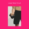 Lower body circuit