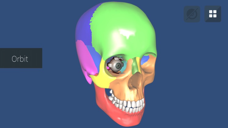 Anu Reality EyeSim Mobile 2 screenshot-3