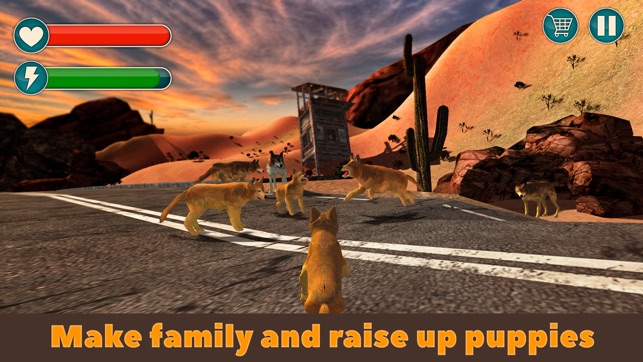 Dingo Dog Wild Life Simulator 3D(圖3)-速報App