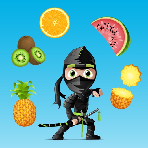 Ninja Kung Fu Master iOS App