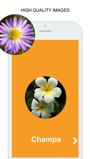 Flowers Flashcard for babies and preschool(圖2)-速報App