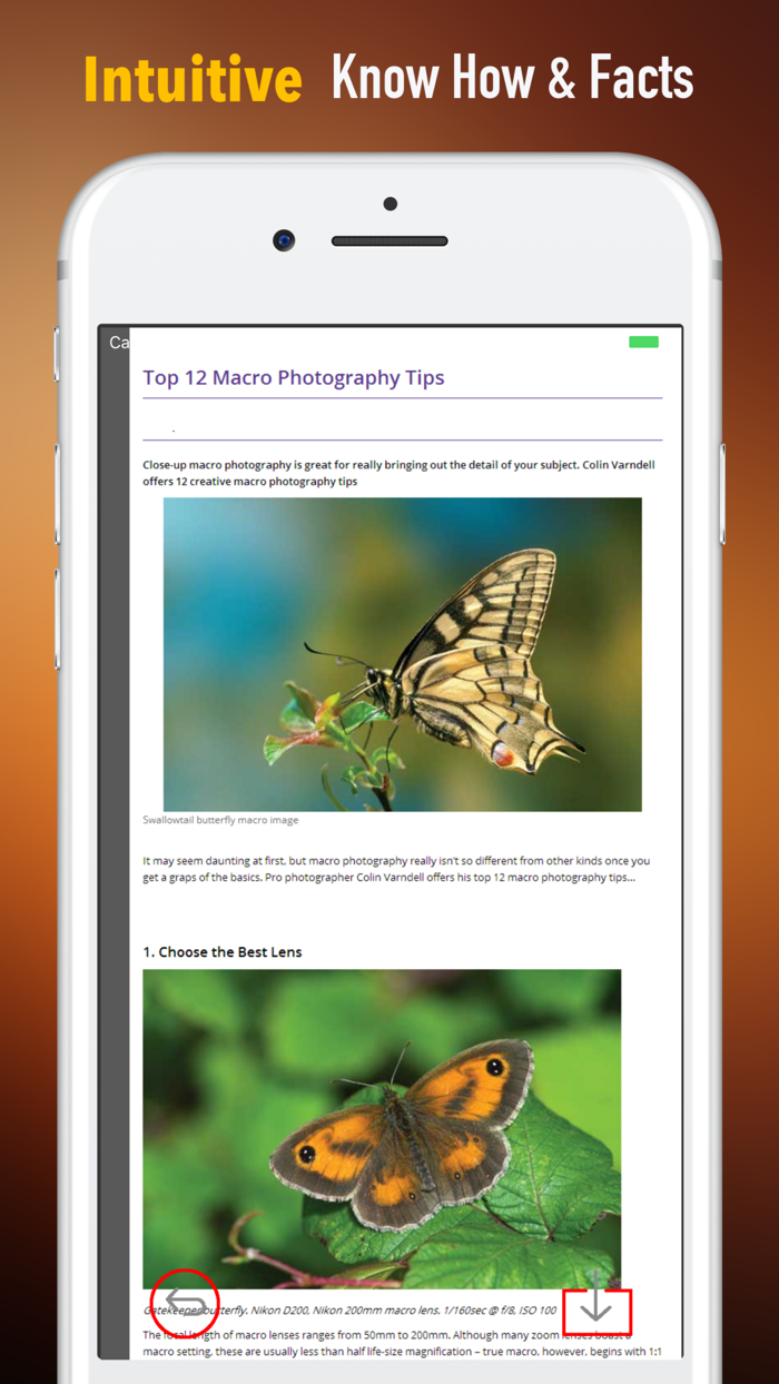 Close-Up Photography 101-Creative Guide and Tips
