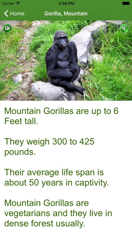 iLearnFacts - Mammals screenshot-4