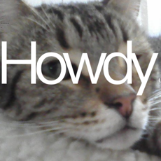 Activities of Howdy Cat!